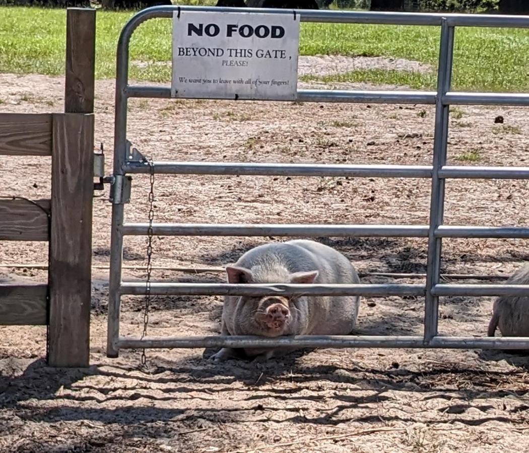 Rooterville Animal Sanctuary Melrose Zewnętrze zdjęcie