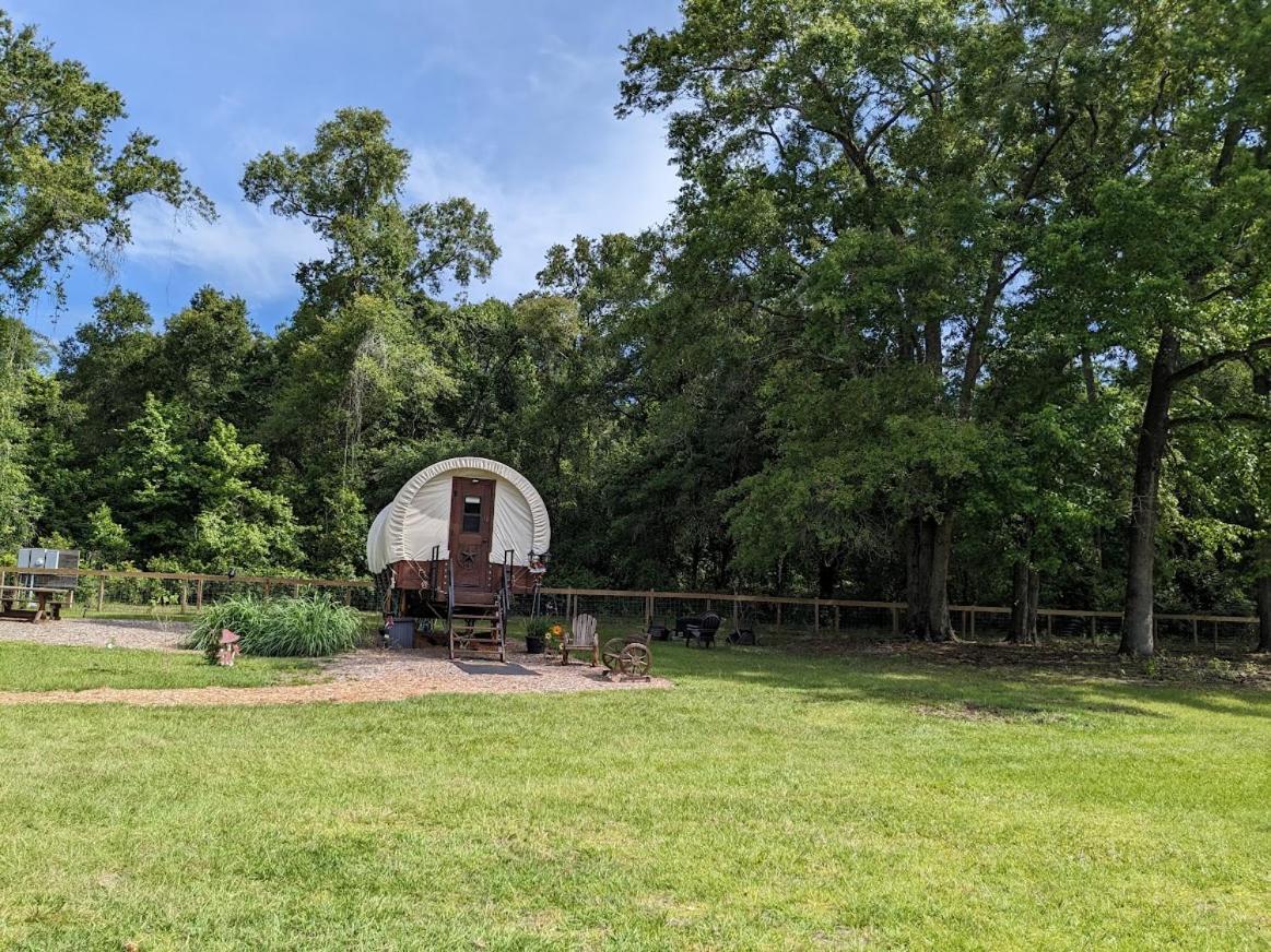 Rooterville Animal Sanctuary Melrose Zewnętrze zdjęcie